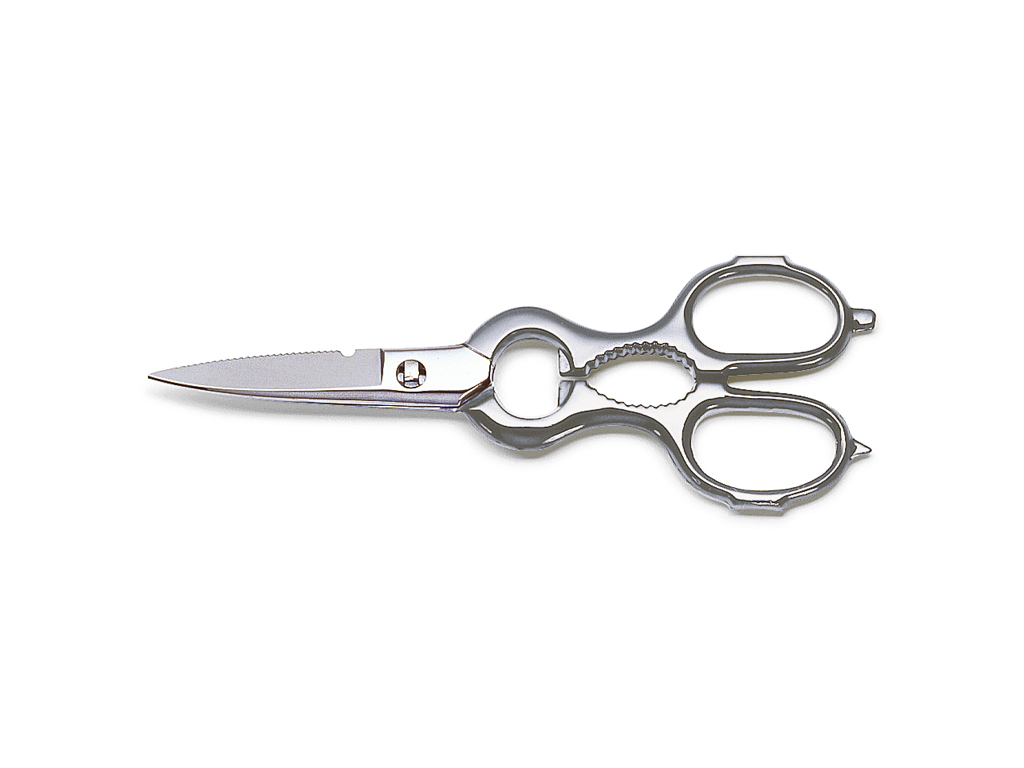 Scissors, 20 cm, F. Dick, kitchen
