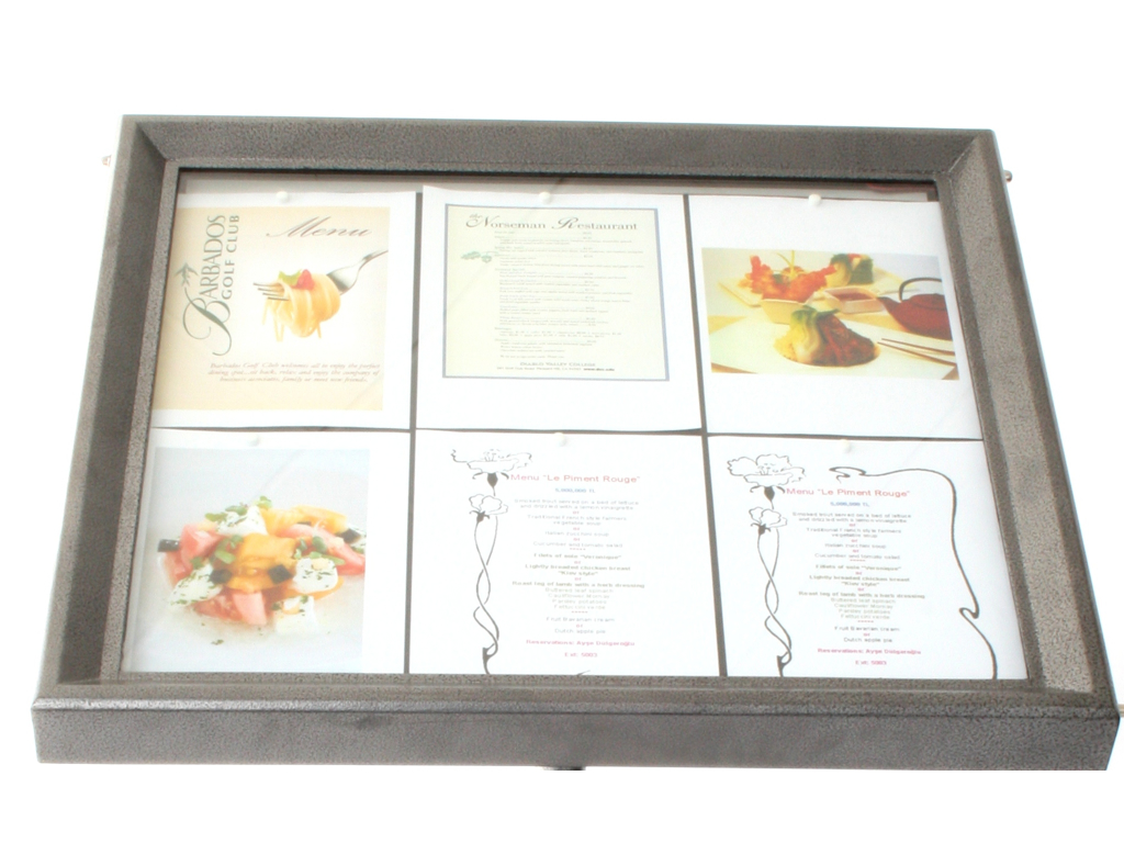 Information Display 6xA4 LED Steel