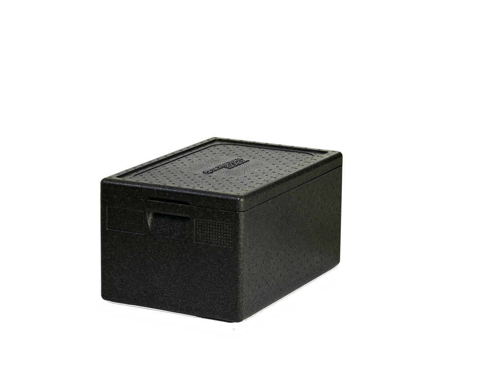Thermo box 1/1 GN 25.7 cm with lid