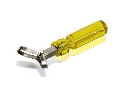 Spinal cord extractor