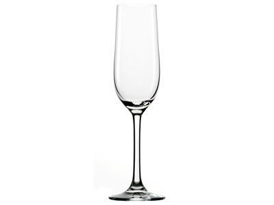Classic Champagne Glass 19 cl