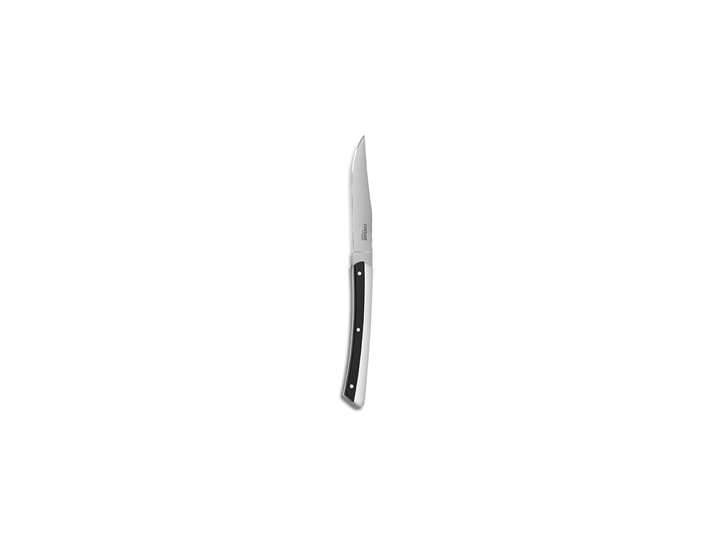 Steak knife K2 black 225 mm