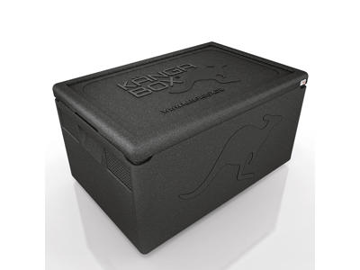 Kängabox Thermobox 1/1 GN Black 48L