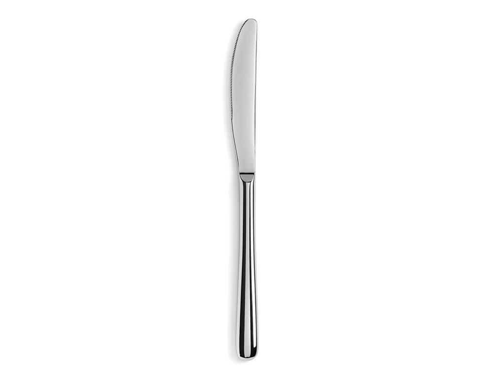 Knife Dessert Glossy 21 cm Stainless steel Courchevel