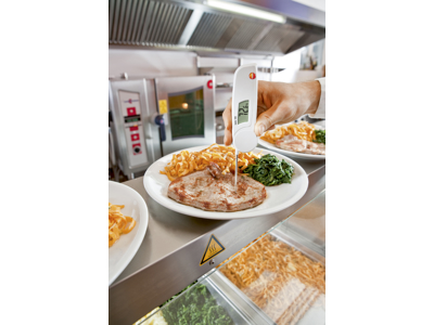 Digital thermometer Fold Testo 103