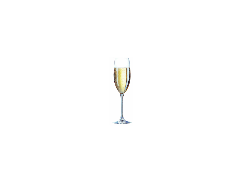 Glass Champagne Cabernet 16 cl