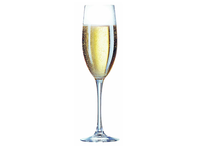 Glass Champagne Cabernet 16 cl