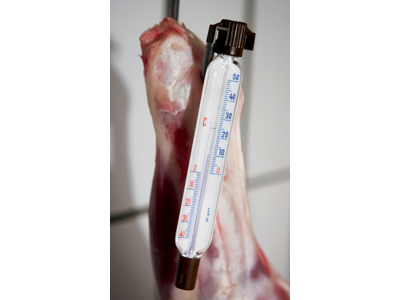 Thermometer for cold room oval