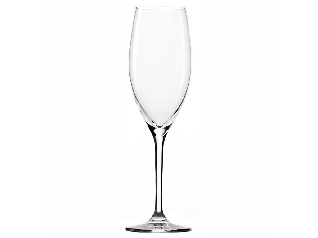 Classic Champagne Glass 24 cl