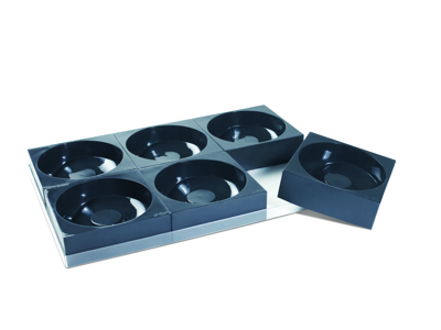 Pavocake 1 tray.m 6 molds. round with swing