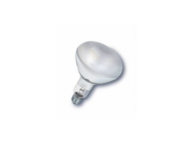 Bulb for Heat Lamp, 250W bulb
