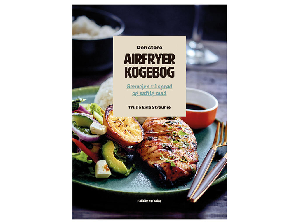 Book The Big Air Fryer Cookbook Paper