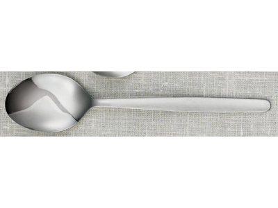 Economy Spoon