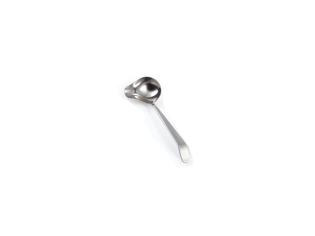 Buffet Sauce Spoon 19 cm stainless Casino