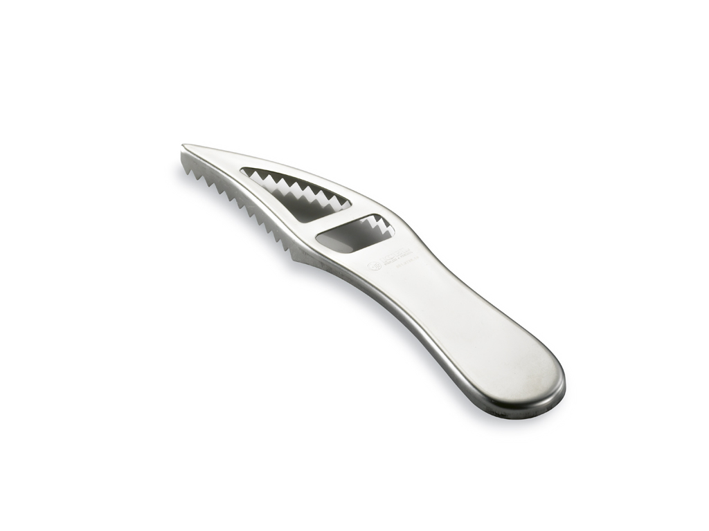 Fish Scale Scraper - Stainless Steel - 19cm