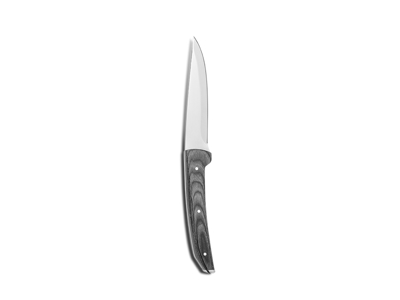 Steak knife Torino 230 mm