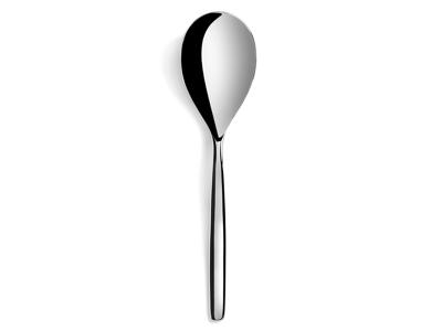 Serving Spoon 29 cm Glossy Stainless Steel Inspired By