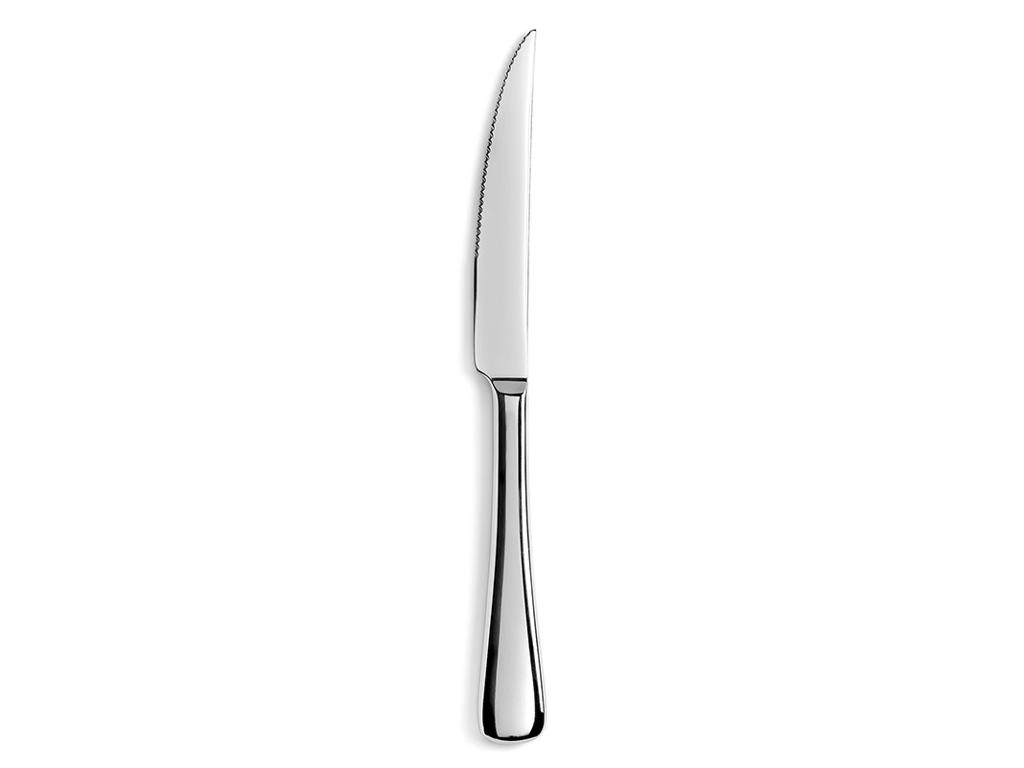 Knife Steak 24 cm Glossy Stainless Steel Arles