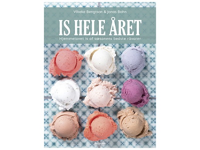 Book Ice the whole year V.Bengtson J.Bohn